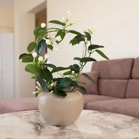 Daire 2-bedroom Jasmine *